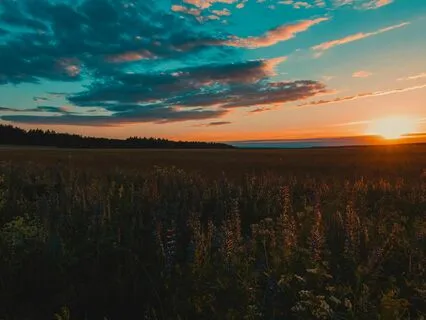 Within The Morning Sun: Soothing Fantasy