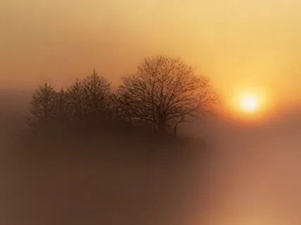 Within The Stillness 