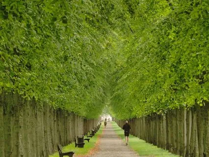 Without Any Judgement