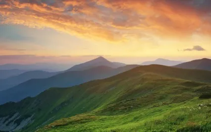 Without Full Attention, Concentration Creates Disorder