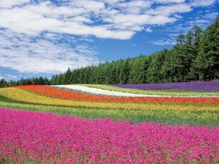 Without Music, Life Would Be A Mistake