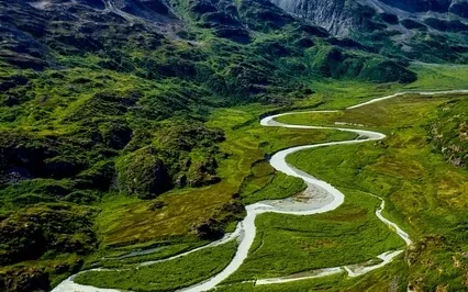 Without Seeking, There Is No Psychological Security