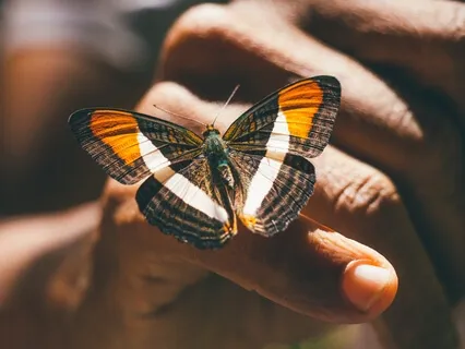 Without Words | Healing With Classical Guitar