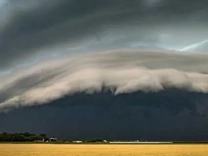 Withstanding The Storms Of Life