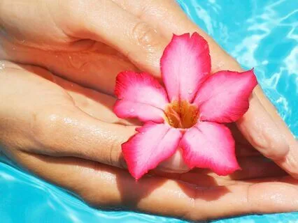 Witness And Be Present