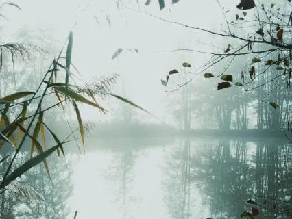 Witnessing Deep Sleep | Nightly Energy Healing (Extended)