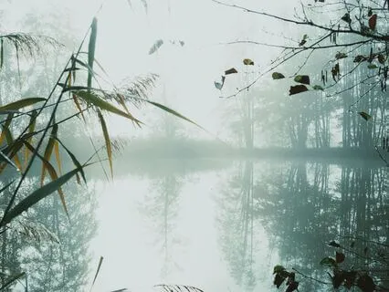 Witnessing Deep Sleep | Nightly Energy Healing