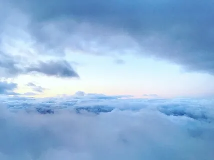 Witnessing The Witness