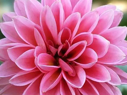 Witnessing Your Ego In Its Entirety