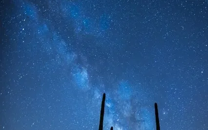 Wizard Deep Sleep Music - Truth Of Relax