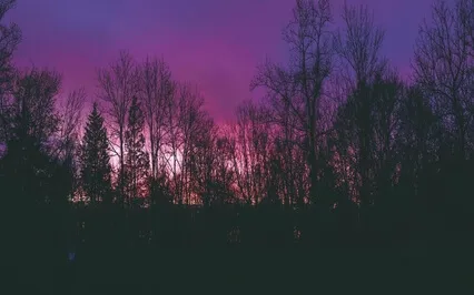 Wizard Dragon Sleep Music - Deep Sleep