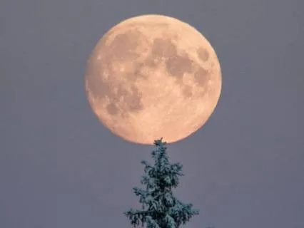 Wolf Moon: Deep Sleep Somatic Journey