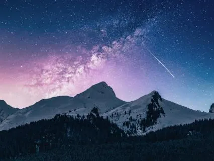 Wolves | Calm Bedtime Reading For Sleep