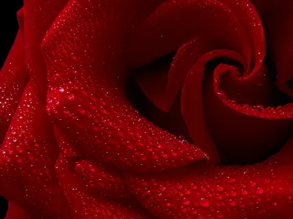 Womb And Heart Activation