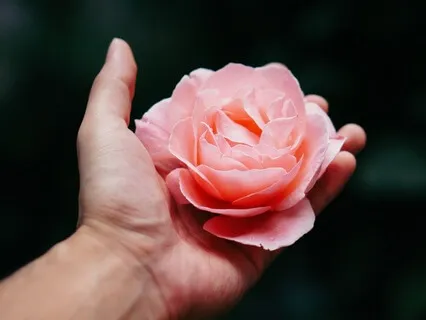 Womb Breathing for Vitality and Creativity