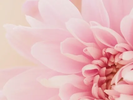 Womb Clearing Meditation