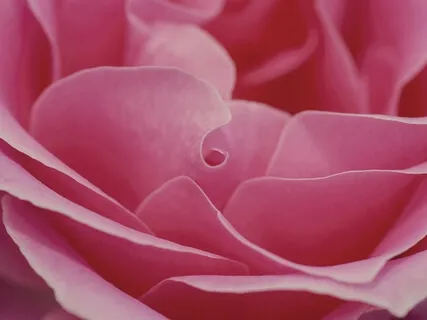 Womb Healing: A Guided Meditation With Light Language