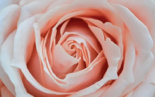 Womb Healing Meditation-Heal And Connect To Your Sacred Yoni