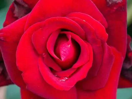 Womb Healing Meditation