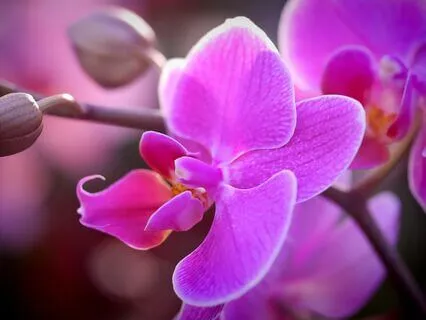 Womb Wisdom Meditation