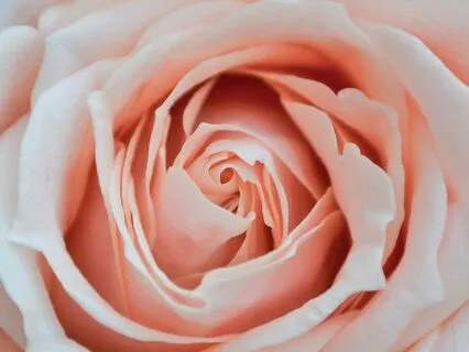 Womb Yoga Nidra - I Rest And Receive With Love And Ease