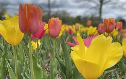 Women Empowerment Meditation