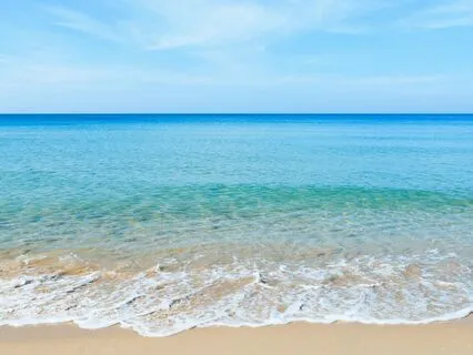 Women: Quick Reset To Heal Emotional Wounds From Narcissists