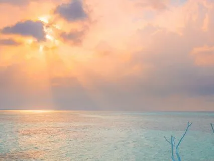 Wonder and Awe: Morning Inspiration