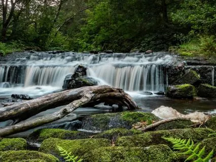 Wonder In Nature: A Practice For Finding Awe