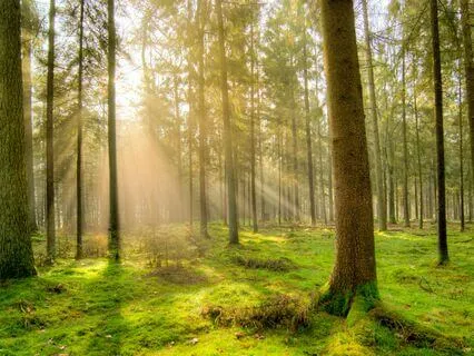 Wonderful World - For Deep Relaxing, Stress & Anxiety Relief