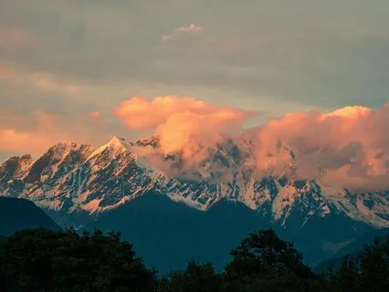 Wonderment In Nature