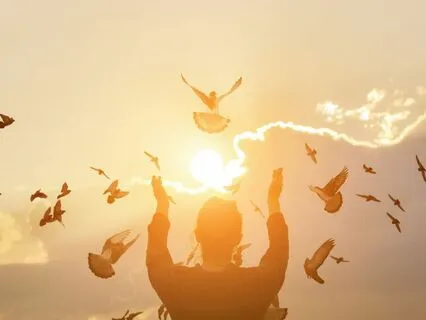 Wonders Of The Universe