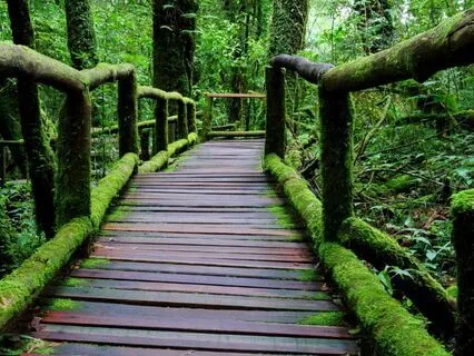 Wondrous Change And Transition Flowdream Meditation