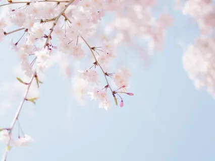 Wood (Short Ver) - Six Healing Sounds By Yuval Ron