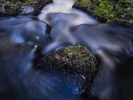 Woodland Stream with Guitar & Drums