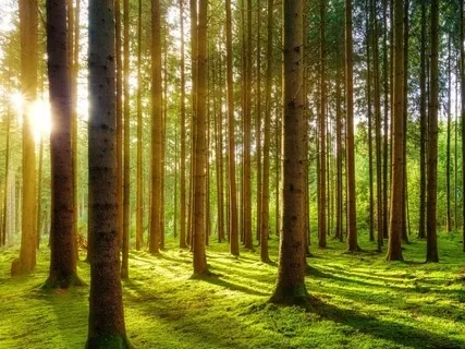 Woop! It's A New Day!