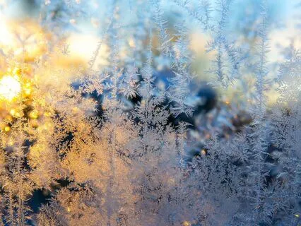 Word & Breath—Day 6, Frostwork: 10-Minute Daily Meditation