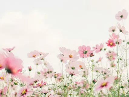 Wordless Gratitude – Piano Solo