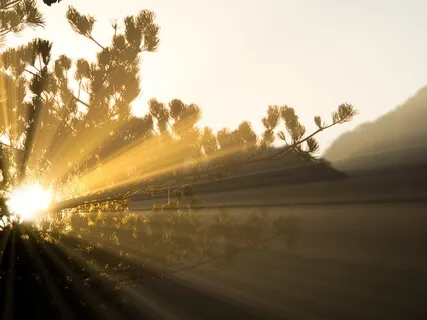 Words From Your Inner Child