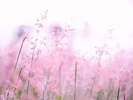 Words Of Affirmation For Your Soul