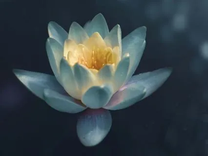 Words Of Compassion: Affirmations For Self-Compassion