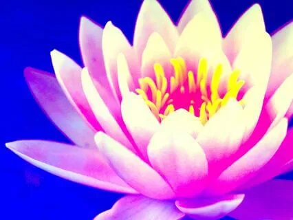 Words Of Encouragement 1 (No Music)