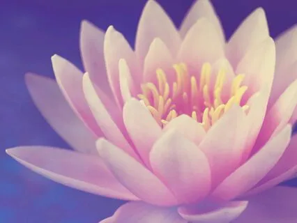 Words Of Encouragement 1 (With Music)