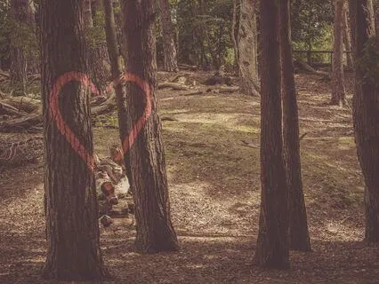 Words Of Wisdom - Meet Yourself Where You're At