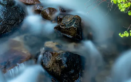 Words Of Zen Master Lin-Chi