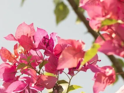 Work Smarter: Mindfulness For Productivity | 174 Hz