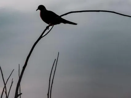 Work-To-Home Reset | Leaving Work At Work