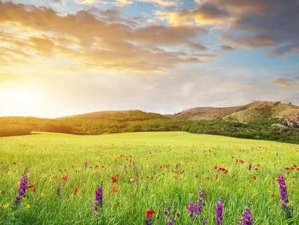 Work Up to Let It Go