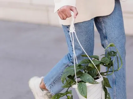 Work With Inner Resistance