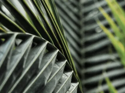 Work With Your Thoughts Meditation